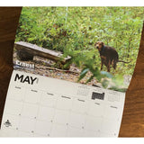 2021 Pooping Pooches Calendar White Elephant Gag Gift Calendar 2021 Calendar Poster Retro Decor Painting - V.I.P Digital Presence