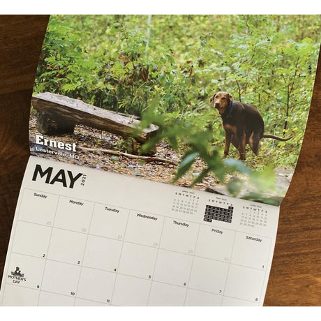 2021 Pooping Pooches Calendar White Elephant Gag Gift Calendar 2021 Calendar Poster Retro Decor Painting - V.I.P Digital Presence