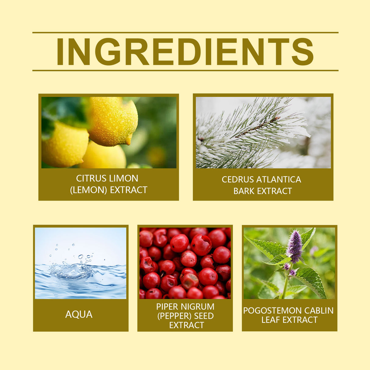 Lemon Fresh Yellow Perfume, Fresh Light Charming Charm Perfume Pheromone Fragrance Small Fruit Scent Perfume - V.I.P Digital Presence