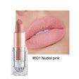 HANDAIYAN Matte Lipstick 12 Color Lipstick Not Easy To Fade Nude Pink Lipstick - V.I.P Digital Presence