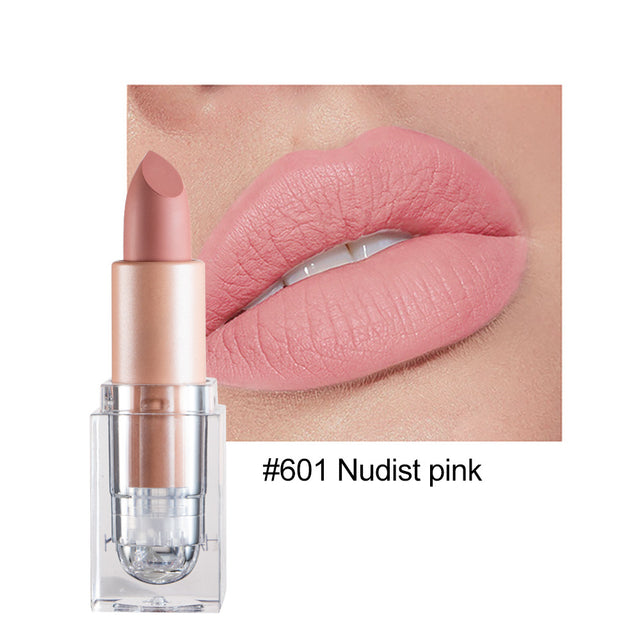HANDAIYAN Matte Lipstick 12 Color Lipstick Not Easy To Fade Nude Pink Lipstick - V.I.P Digital Presence