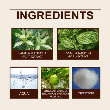 Vanilla Basil Perfume Mild Niche Vanilla Light Fragrance Stay Fragrance Lasting Dating Charm Natural Light Elegant Perfume - V.I.P Digital Presence