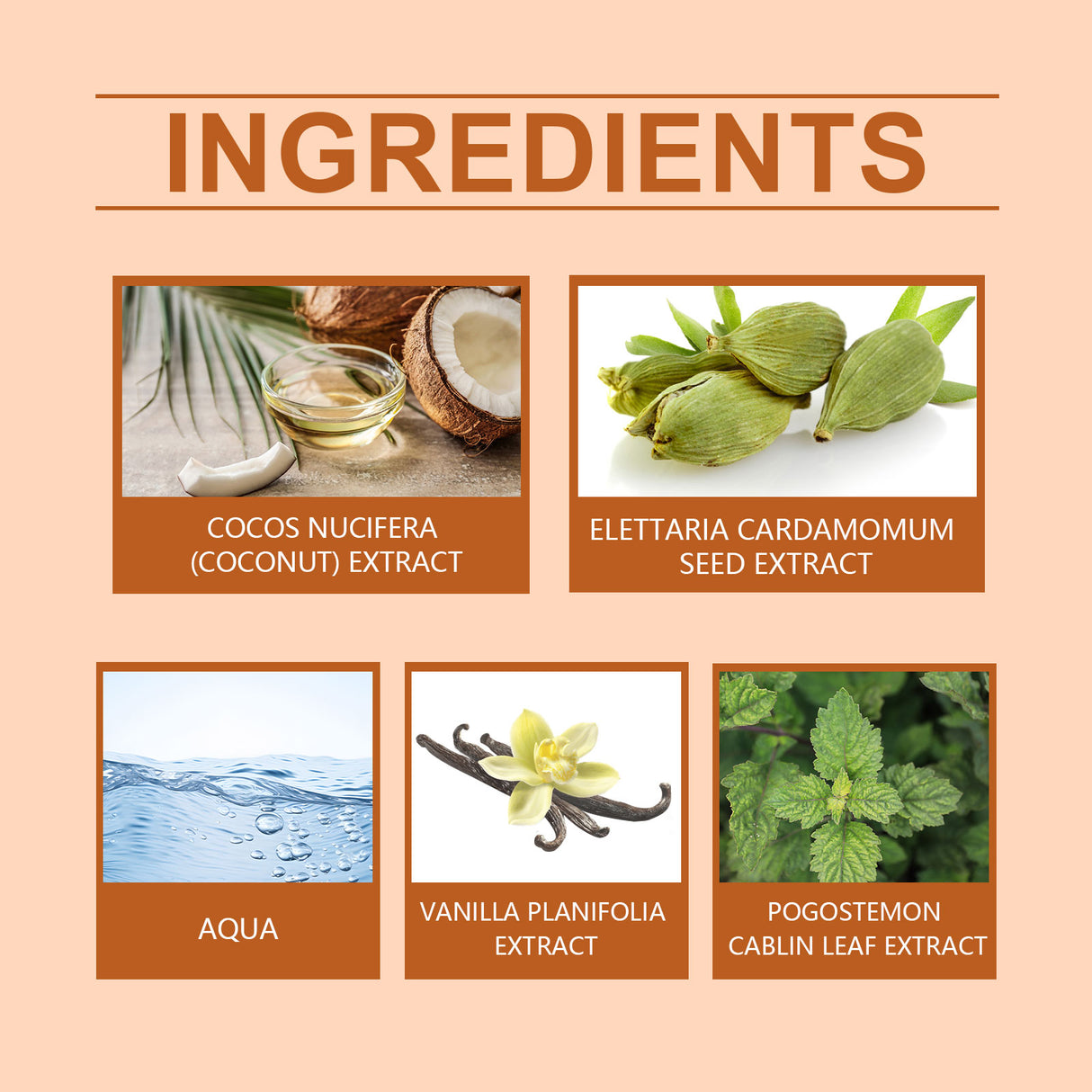 Light Vanilla Coconut Perfume, Fresh Light Fragrance Lasting Light Elegant Exudes Attractive Feminine Fragrance Convenient Perfume - V.I.P Digital Presence