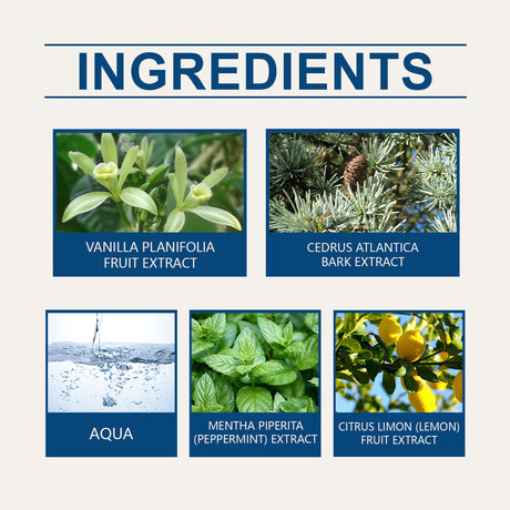 Men's Ball Perfume Fresh Natural Light Fragrance Lasting Fragrance Portable Elegant Ball Design Perfume - V.I.P Digital Presence