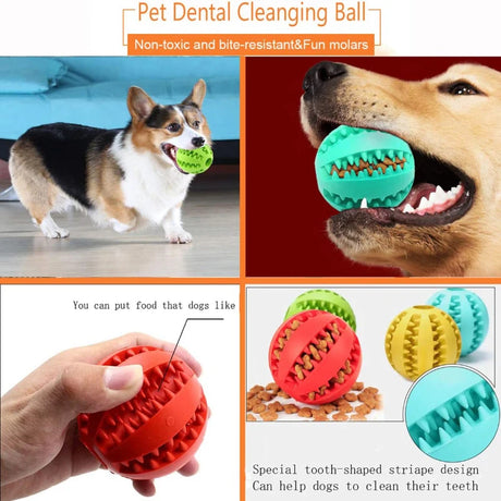 Dog Toy Ball Interactive Rubber Balls Puppy Chewing Toys Pet Tooth Cleaning Ball Cats Pets Food Treat Feeder Silicone Balls Toy - V.I.P Digital Presence