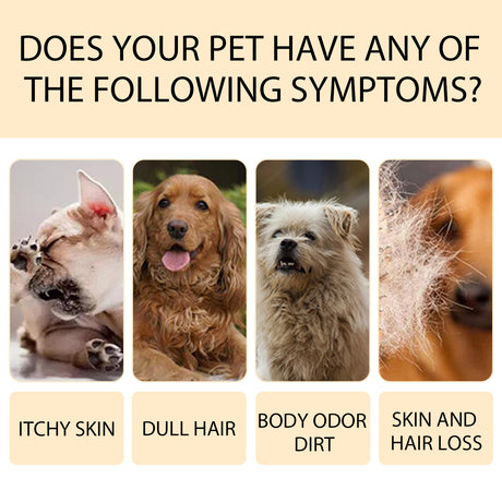 Pet Shampoo, Gentle Cleansing Of Pet Cat And Dog Hair With Smooth Unknotted Shampoo - V.I.P Digital Presence