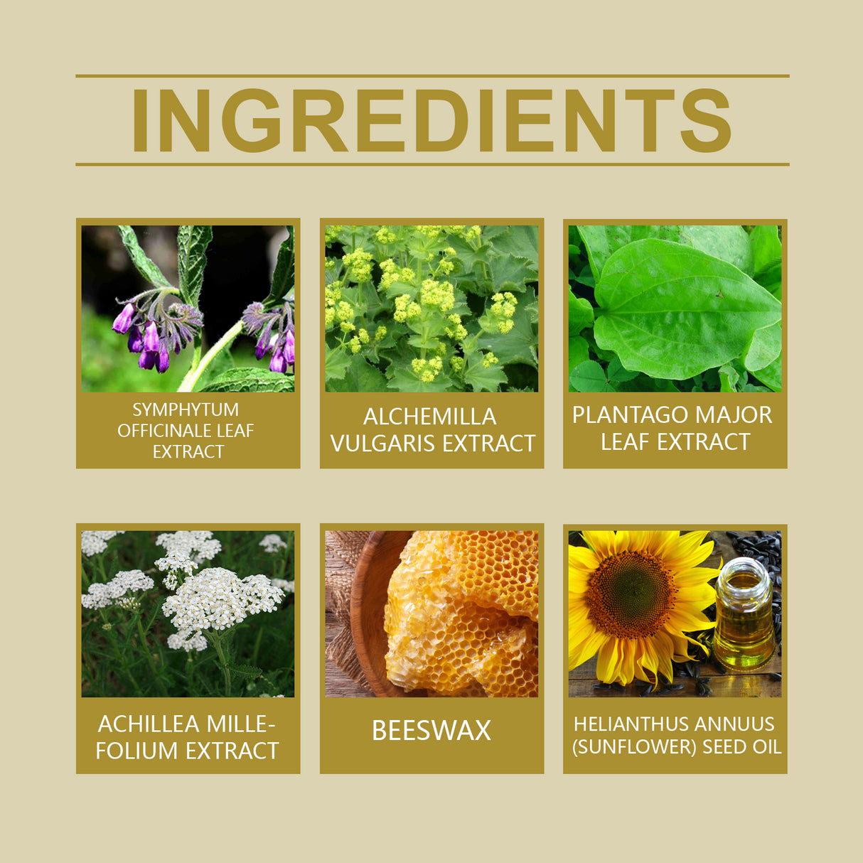 Herbal Cream Gently Moisturizes Neck, Shoulders, Waist, Legs And Knees Body Massage Cream - V.I.P Digital Presence