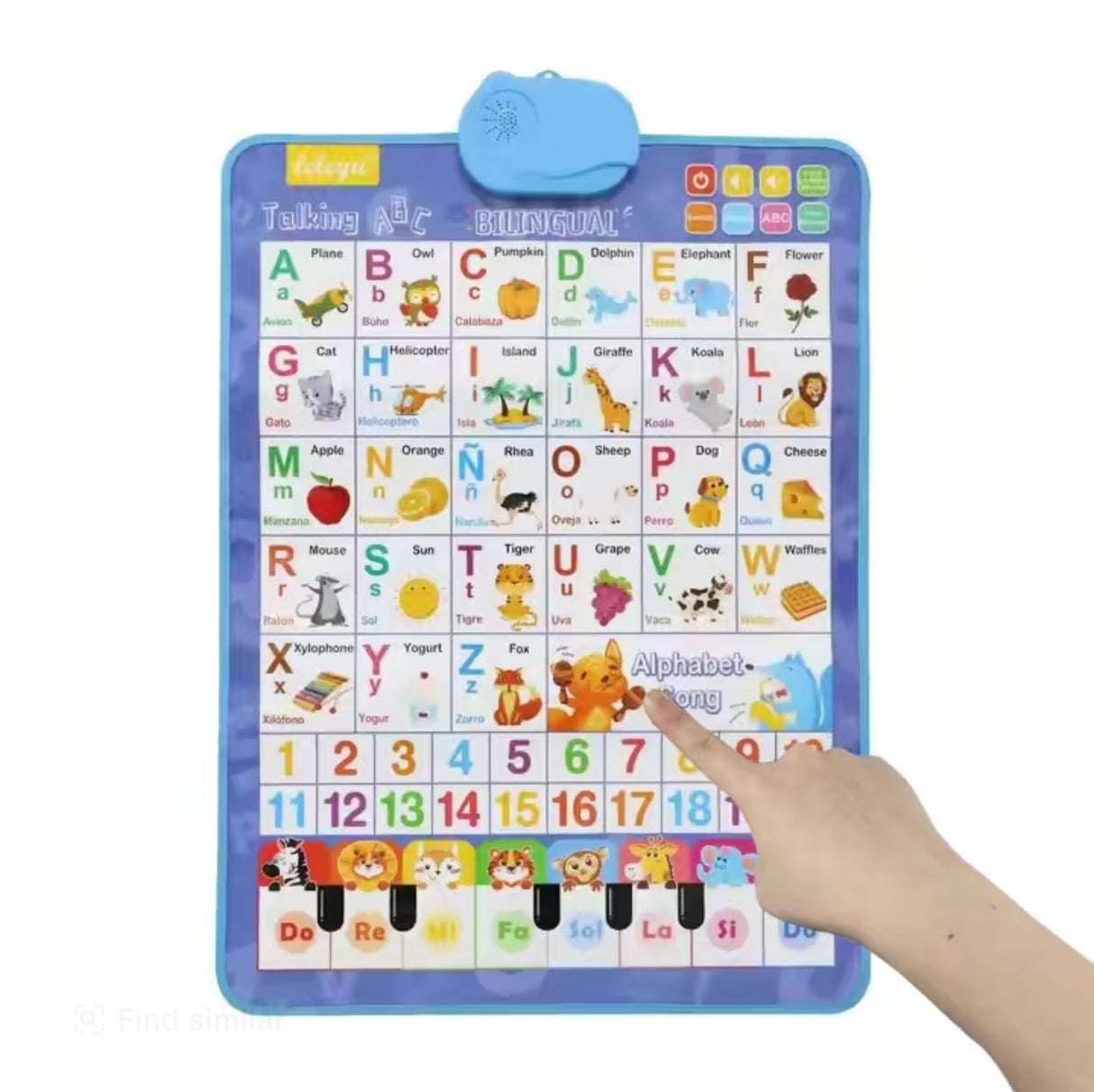 EduTune Bilingual Wall Chart