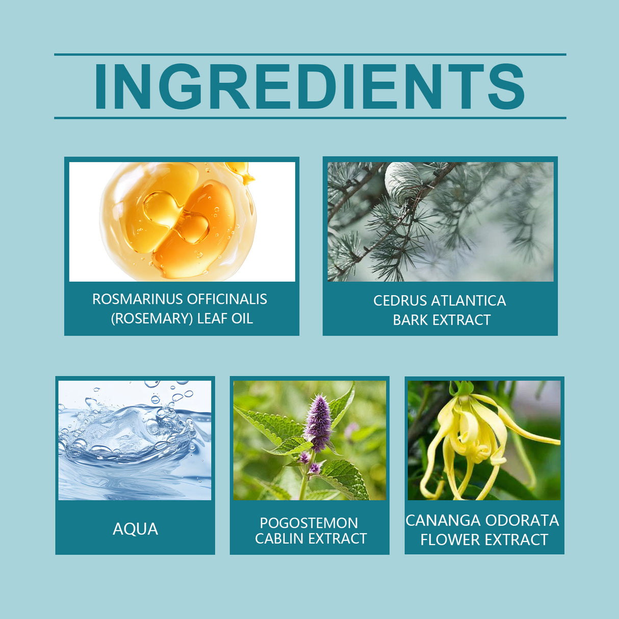 Cedar Blue Eau De Toilette, Natural, Fresh And Long-Lasting Fragrance Pheromone Fragrance Business Gentleman Charm Atmosphere Perfume - V.I.P Digital Presence