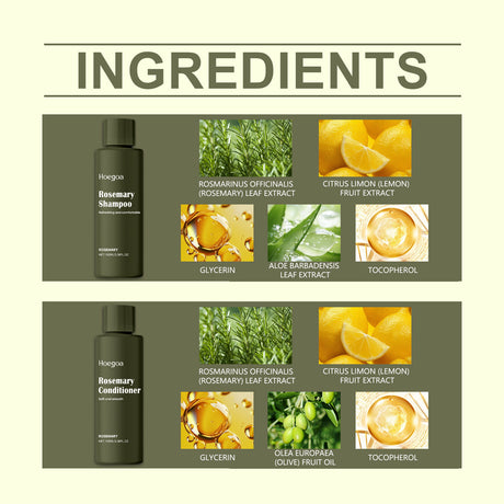 Rosemary Shampoo Set Anti-Dandruff Oil Control Shampoo Retain Fragrance Moisturizing Conditioner Refreshing Hair - V.I.P Digital Presence