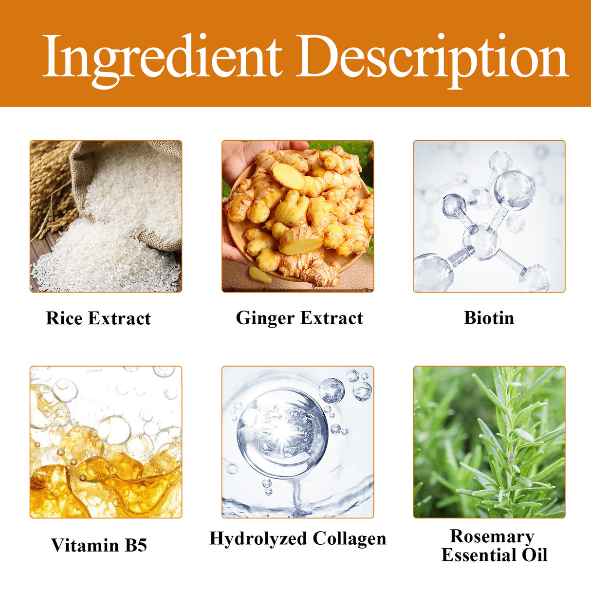Rice Dense Hair Shampoo Deep Clean Thick Hair Moisturizing Hair Root Solid Hair Care Shampoo - V.I.P Digital Presence