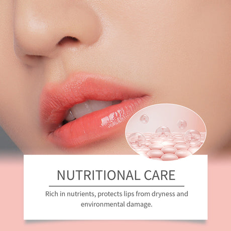 Moisturizing Lip Care Moisturizing And Hydrating Skin Moisturizing And Moisturizing Lip Care - V.I.P Digital Presence