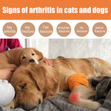 Pet Bee Venom Oil, Joint Care For Cats And Dogs Relieves Joint Pain For Pets Pet Care Water - V.I.P Digital Presence