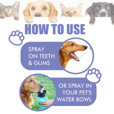 Tooth Cleaning Spray For Cats And Dogs, Remove Tooth Stains Fresh Breath Pets Oral Care Spray - V.I.P Digital Presence