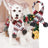 Christmas Dog Scarf Knitted Elk Scarf Striped Hair Ball Pet Scarf Outdoor Winter Warm Cat Dog Scarves Puppy Collar Pet Supplies - V.I.P Digital Presence