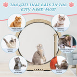 Indoor cat treadmill with carpet, tear device and latch natural wood, 39.4 inches long x 13.2 inches wide x 41.3 inches high - V.I.P Digital Presence