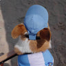 Pet Dog Outdoor Photography Leisure Sunshade Hat with Ear Holes Adjustable Corgi Baseball Cap - V.I.P Digital Presence