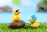 Bryophyte Miniature Landscapes, Succulent Plant Decorations, Doll Figurines, Travel Duck Souvenirs, DIY Material Kits - V.I.P Digital Presence