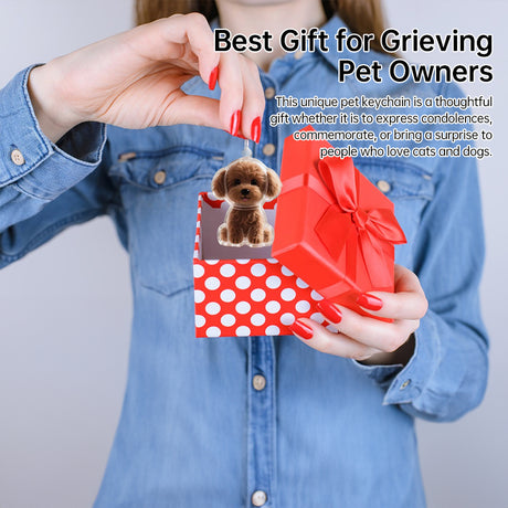 A transparent DIY pet hair memorial keychain box, a sweet keepsake for dog lovers. - V.I.P Digital Presence