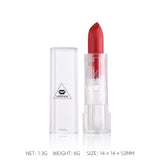 Transparent Shell Lipstick Matte Peach Pink Student Model Plain White Lipstick Sample Lipstick - V.I.P Digital Presence
