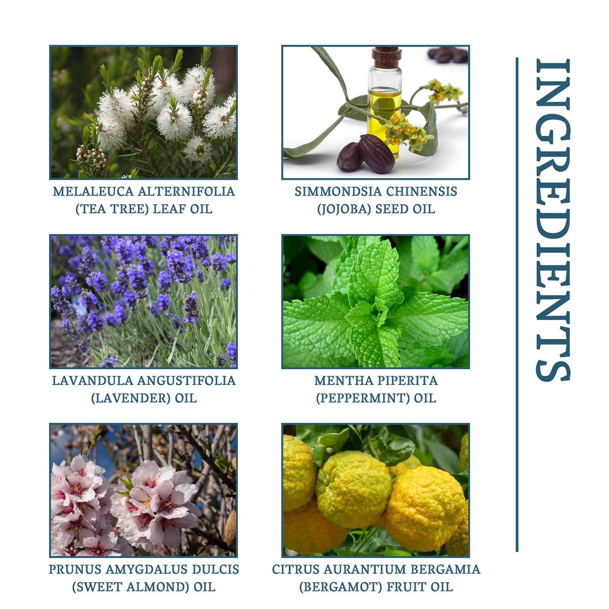 Nail Fungus Treatment, Nail Thickening Of Embedded Light Mail This Soft Armour Brothers Nails Detailer - V.I.P Digital Presence