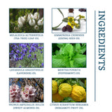 Nail Fungus Treatment, Nail Thickening Of Embedded Light Mail This Soft Armour Brothers Nails Detailer - V.I.P Digital Presence