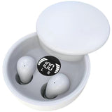 EchoDotz Mini Earbuds