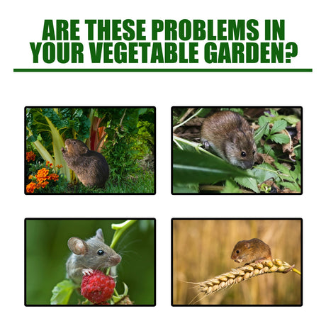 Mouse Repellent Mice Repellent for House Repel Mice Rats Rodent Control for Household Garden Yard Supplies - V.I.P Digital Presence