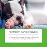 Dietary Supplements For Dogs, To Promote Pet Health Pet Dogs Special Dietary Supplements - V.I.P Digital Presence