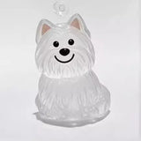 A transparent DIY pet hair memorial keychain box, a sweet keepsake for dog lovers. - V.I.P Digital Presence