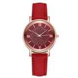 Luxury Watches Quartz  Watch Stainless Steel Dial Casual Bracele Watch - V.I.P Digital Presence