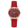 Luxury Watches Quartz  Watch Stainless Steel Dial Casual Bracele Watch - V.I.P Digital Presence