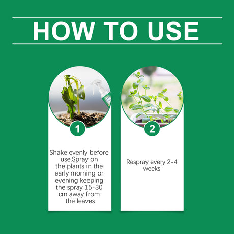 Moonspry Chlorophyll Spray, General Whole Plant Nutrient Solution For Healthy Growth Of Flowers And Fruit Trees And Green Leaves - V.I.P Digital Presence