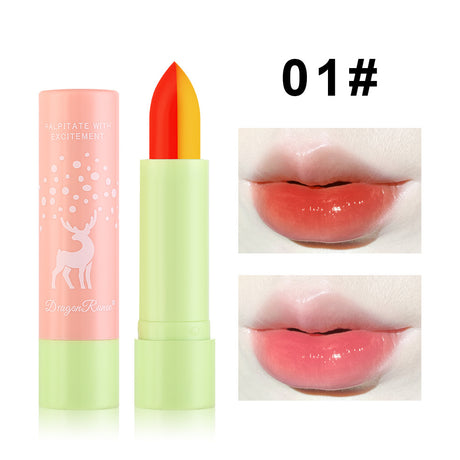Macaron Color Changing Single And Double Color Lipstick Lipstick Lasting And Not Easy To Decolorize Biting Lip Moisturizing Warm Color Lipstick - V.I.P Digital Presence