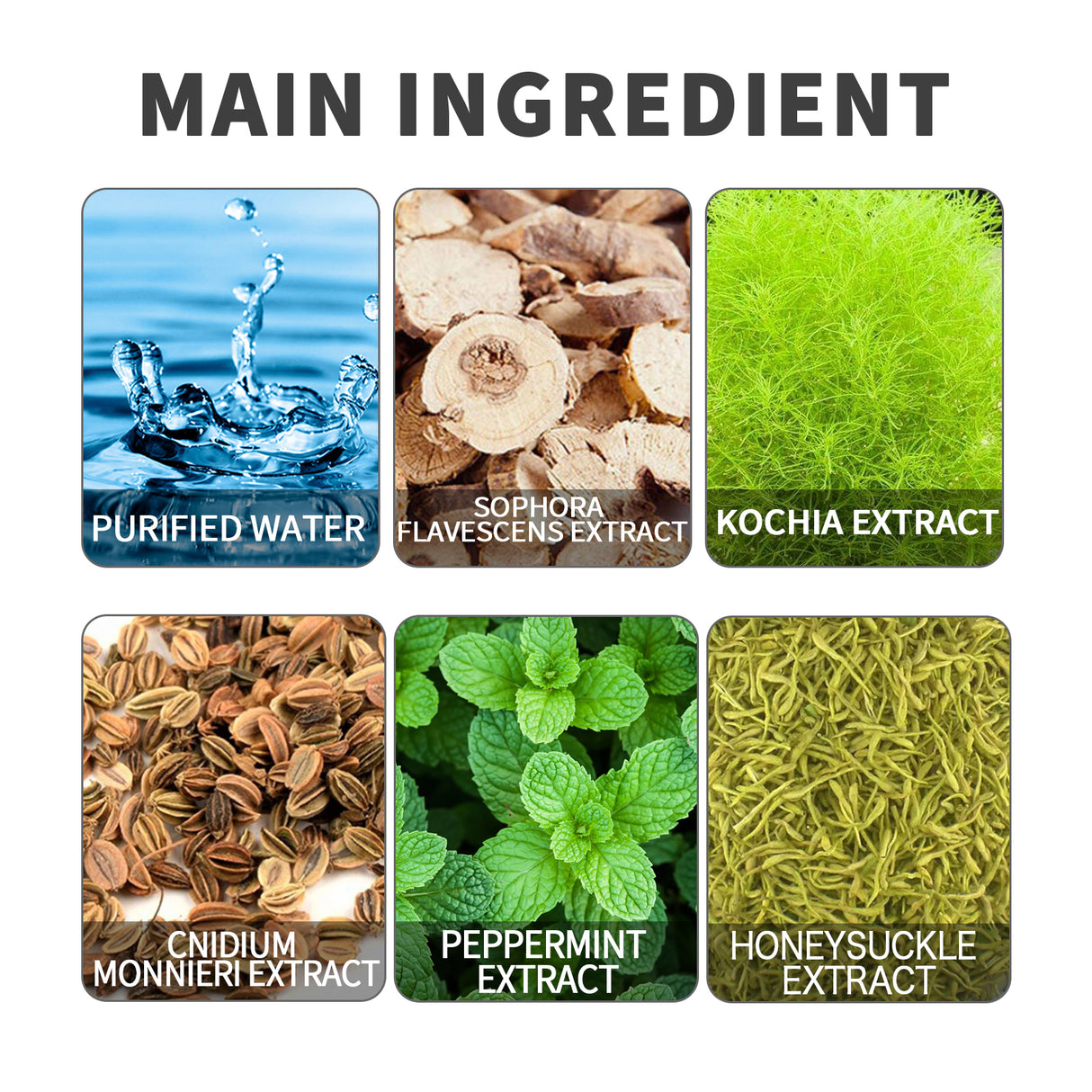 Feminine Care Spray Relieves Itching And Discomforts Clean Body Odor Gentle Care For Feminine Skin - V.I.P Digital Presence