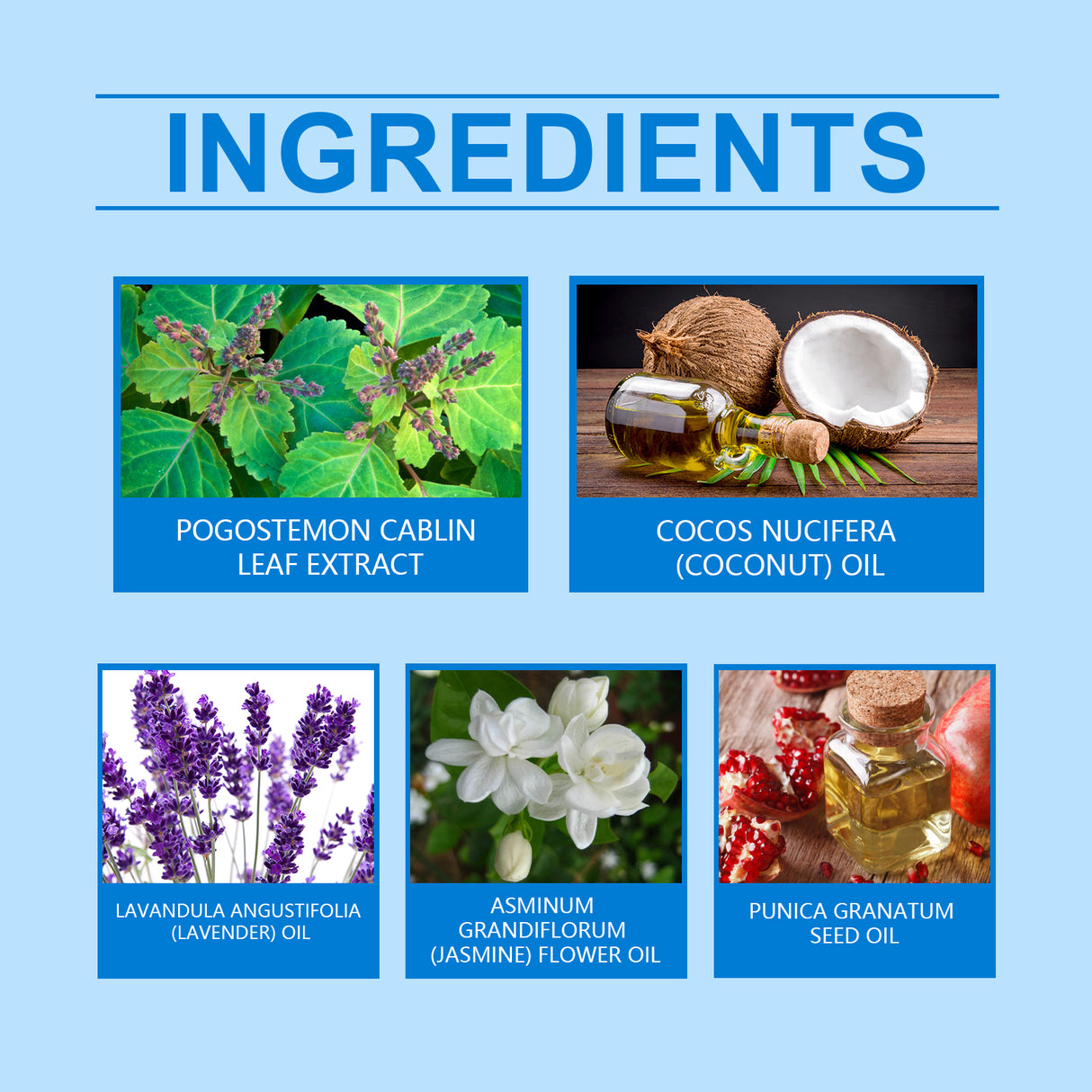 Glamor Perfume For Men, Lasting Fragrance Portable Men's Adult Lavender Fresh Exudes Male Charm Niche Flirtatious Appeal Perfume - V.I.P Digital Presence