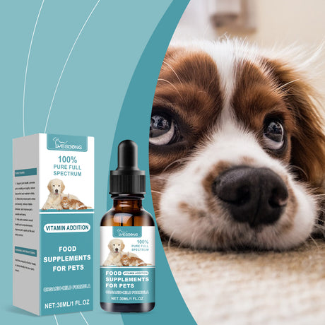 Pet Food Supplement Care For Pets Physical Discomfort Daily Care Food Supplement - V.I.P Digital Presence