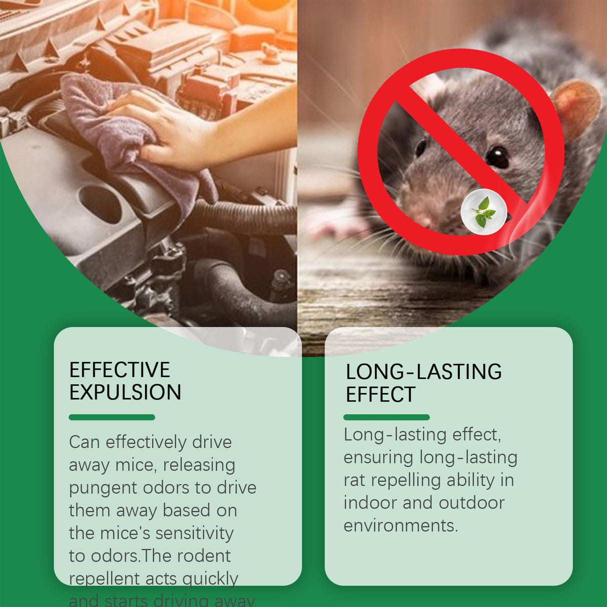 Mint Rat Repellent Spray Car Engine Outdoor Indoor Rat Repellent Rat Buster Spray - V.I.P Digital Presence