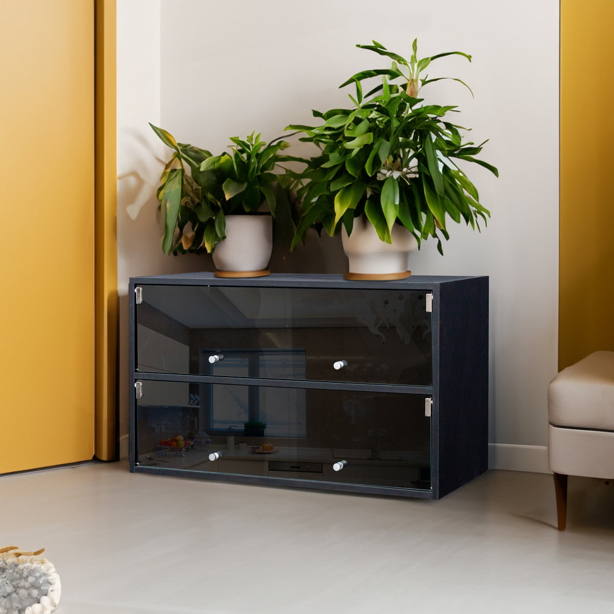 Black Glass Door Shoe Box Shoe Storage Cabinet With RGB Led Light - V.I.P Digital Presence