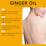 Ginger Massage Essential Oil, Ginger Care Essence Oil Body Massage Daily Care Firming Skin - V.I.P Digital Presence