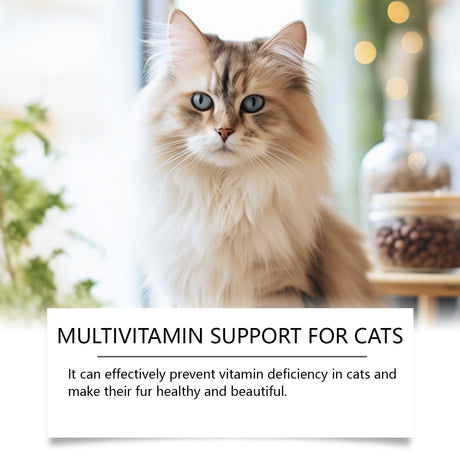 Pet Cat Multivitamin Tablets, Cats Supplement Vitamin Micronutrient Nutritional Supplements - V.I.P Digital Presence