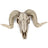 Horned Skull Wall Hanging Creative Home Living Room Decor Retro Resin Craft - V.I.P Digital Presence