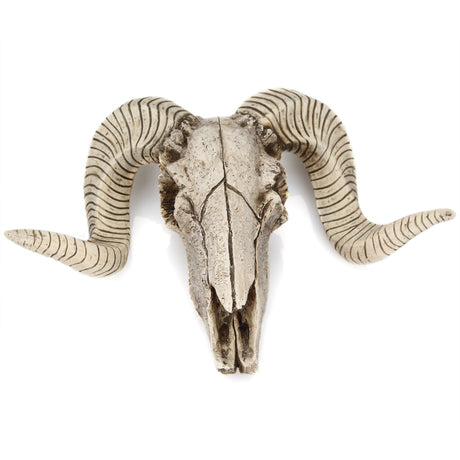 Horned Skull Wall Hanging Creative Home Living Room Decor Retro Resin Craft - V.I.P Digital Presence