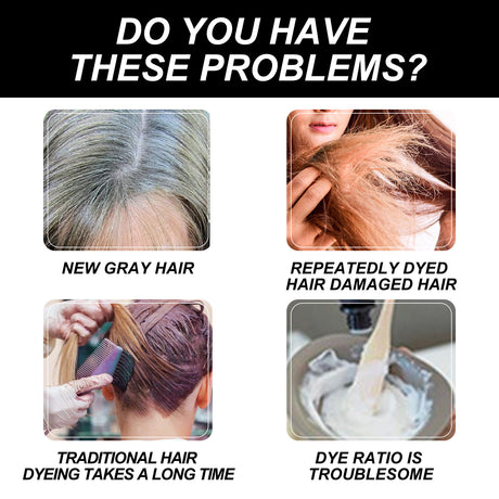 Hoegoa Hair Dye Shampoo Bubble Colored Hair Dye Shampoo Hair Color Dye Color Blackening Shampoo - V.I.P Digital Presence
