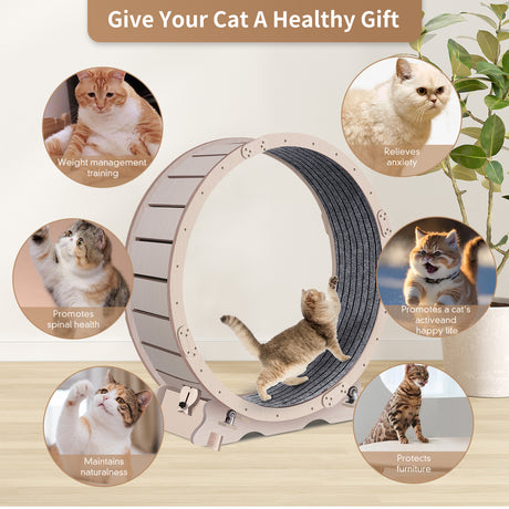 Cat Exercise Wheel for Indoor Cats, Cat Running Wheel with Carpeted Runway, 41" Natural Wood Color - V.I.P Digital Presence