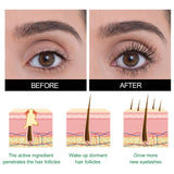 Mild Care Strengthening Eyelash Serum, Volute Thick Black Beautiful Slender Natural Gentle Not Easy To Stain Mascara - V.I.P Digital Presence