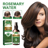Rosemary Water, Moisturize Hair Roots Repair Damaged Hair Strengthen Hair And Prevent Hair Loss - V.I.P Digital Presence