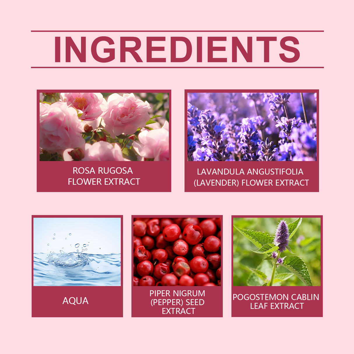 Rose Fragrance Fresh Powder Perfume, Natural Fragrance Niche Charming Charm Perfume Pheromone Fragrance Eau De Toilette - V.I.P Digital Presence