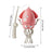 Creative Dancing Squid: auto-sense, obstacle-avoid e-pet with music, lights, rechargeable & interactive gift. - V.I.P Digital Presence