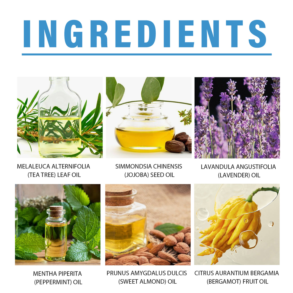 Toenail Fungus Treatment, Repair The Brotherhood Of Nails Rotten Jiasheng Mail This Soft Armour A Detailer - V.I.P Digital Presence